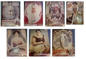 Read more about the article Christian Warlich Collection – Antique Early 20th Century Tattooed Circus Sideshow Posters