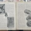 1902 Pearson’s Magazine featuring the article "A Tattoo Artist " Gambier Bolton - Image 4
