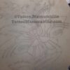 Antique Tattoo Design Acetate-Butterfly