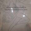 Antique Tattoo Design Acetate-Butterfly Woman Fairy