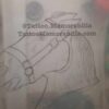 Antique Tattoo Design Acetate-Horse