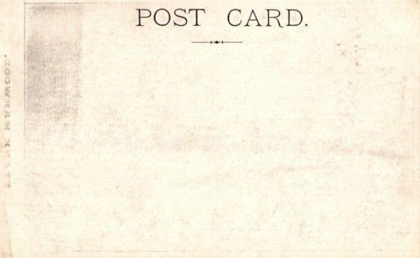 Frank Marwood Tattooed Man Circus Sideshow Performer-Antique Pitch Card - Image 2