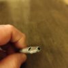 Early 1970`s Vintage Tattoo Machine Tubes, handmade